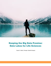 Pharma Data Lake Whitepaper
