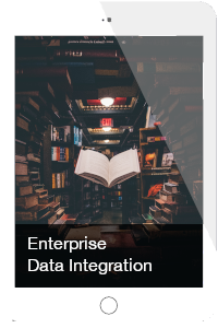 Data Integration Knowledge Graph Data Fabric